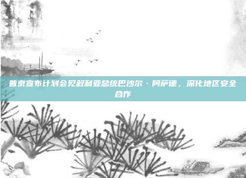 普京宣布计划会见叙利亚总统巴沙尔·阿萨德，深化地区安全合作