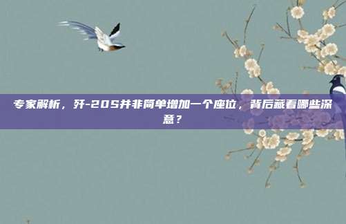 专家解析，歼-20S并非简单增加一个座位，背后藏着哪些深意？