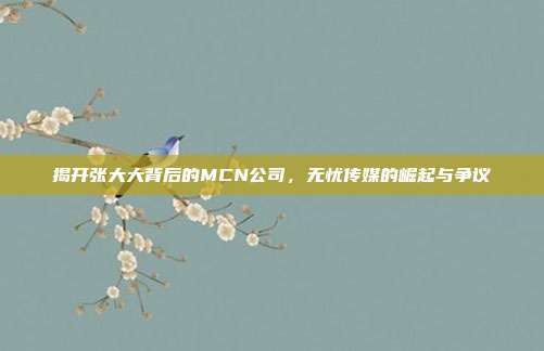 揭开张大大背后的MCN公司，无忧传媒的崛起与争议