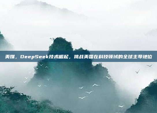 美媒，DeepSeek技术崛起，挑战美国在科技领域的全球主导地位