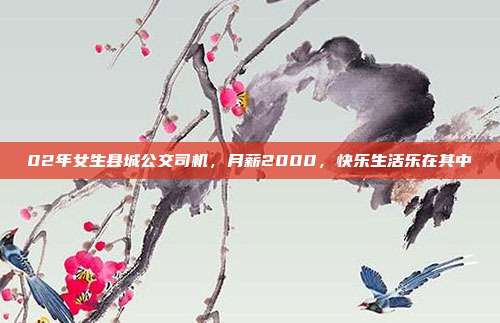 02年女生县城公交司机，月薪2000，快乐生活乐在其中