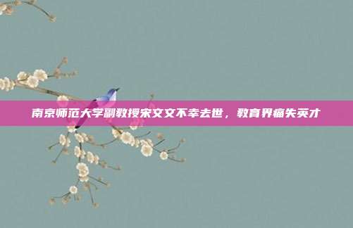 南京师范大学副教授宋文文不幸去世，教育界痛失英才