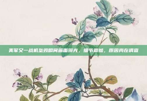 美军又一战机坠毁瞬间画面曝光，细节震撼，原因尚在调查