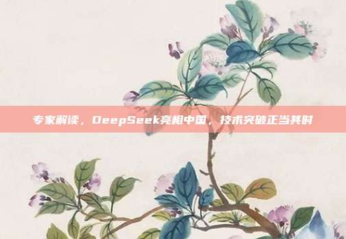 专家解读，DeepSeek亮相中国，技术突破正当其时