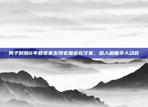 男子时隔6年回老家发现老猫还在守家，感人画面令人动容