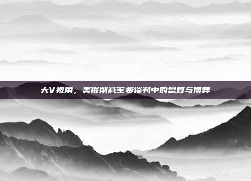 大V视角，美俄削减军费谈判中的盘算与博弈